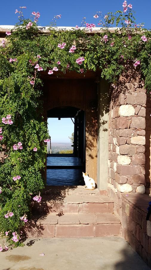 Lodge Le Douar Berbere (adults Only) Ourika