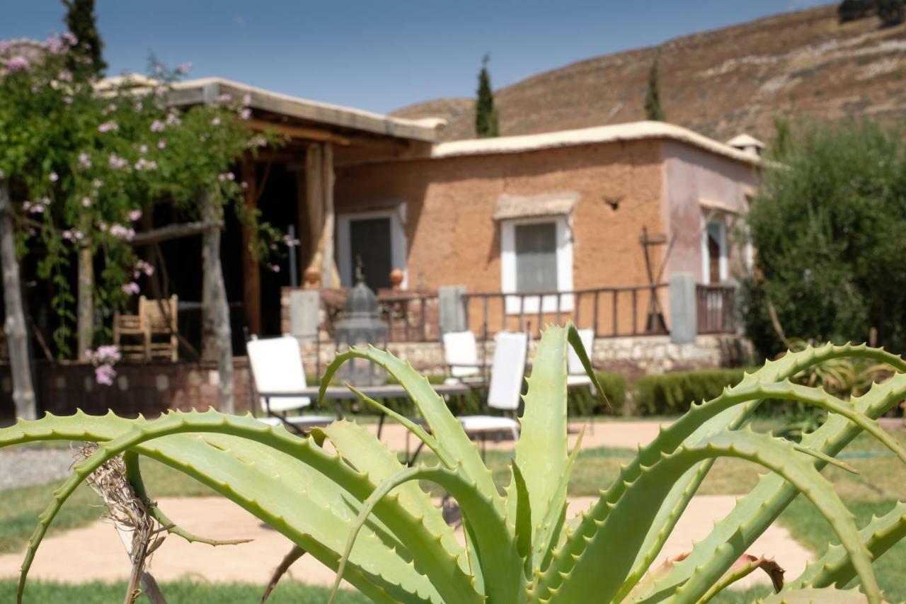 Lodge Le Douar Berbere (adults Only)